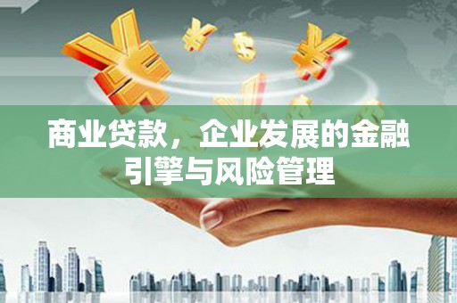 定陶商业贷款，企业发展的金融引擎与风险管理