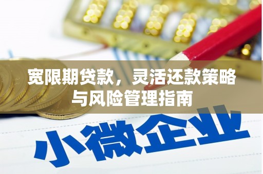 怀化宽限期贷款，灵活还款策略与风险管理指南