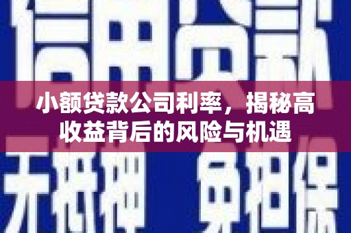 阳曲小额贷款公司利率，揭秘高收益背后的风险与机遇