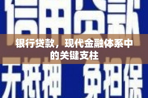 巨野银行贷款，现代金融体系中的关键支柱