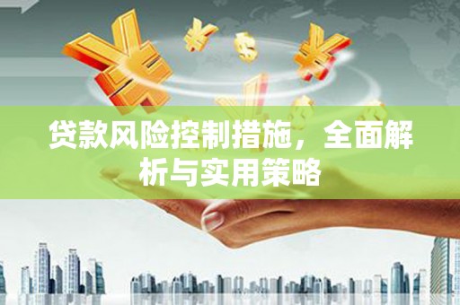 滴道贷款风险控制措施，全面解析与实用策略