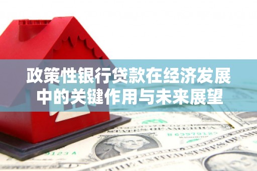 枋寮政策性银行贷款在经济发展中的关键作用与未来展望
