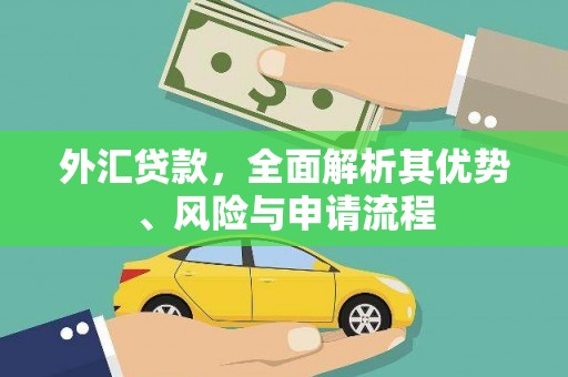 大社外汇贷款，全面解析其优势、风险与申请流程