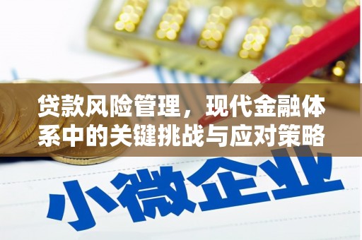 索县贷款风险管理，现代金融体系中的关键挑战与应对策略