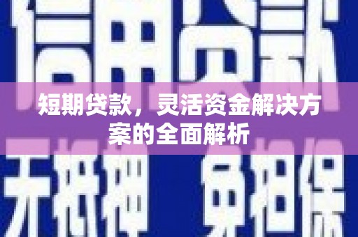 沙湾短期贷款，灵活资金解决方案的全面解析