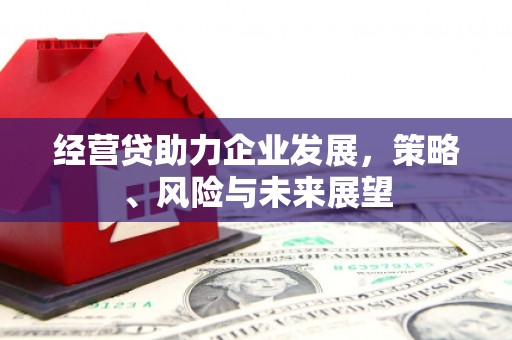 阿巴嘎旗经营贷助力企业发展，策略、风险与未来展望