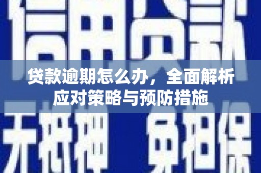 绥滨贷款逾期怎么办，全面解析应对策略与预防措施
