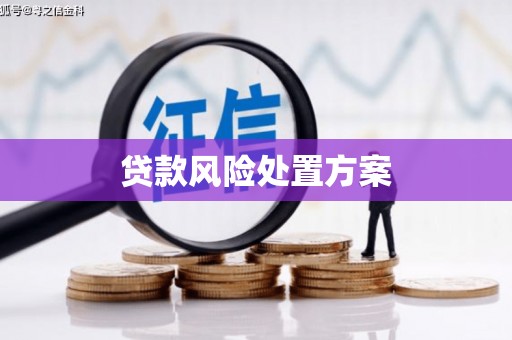 循化贷款风险处置方案