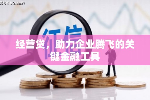 镇赉经营贷，助力企业腾飞的关键金融工具