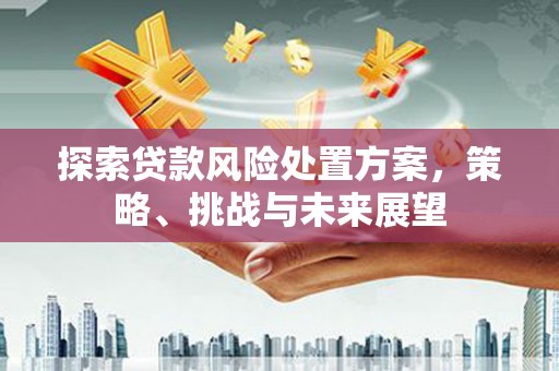 梨树县探索贷款风险处置方案，策略、挑战与未来展望