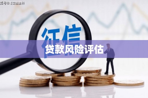 凉城贷款风险评估