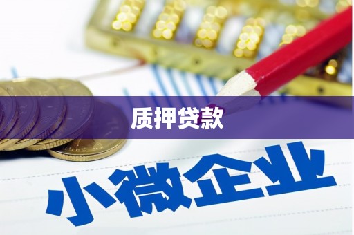 民雄质押贷款