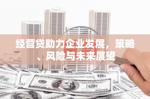 溆浦经营贷助力企业发展，策略、风险与未来展望
