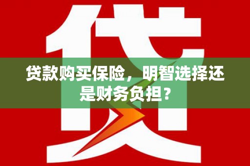 阿合奇贷款购买保险，明智选择还是财务负担？