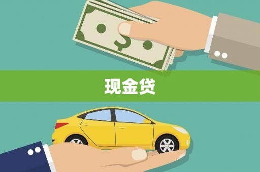 盐源现金贷