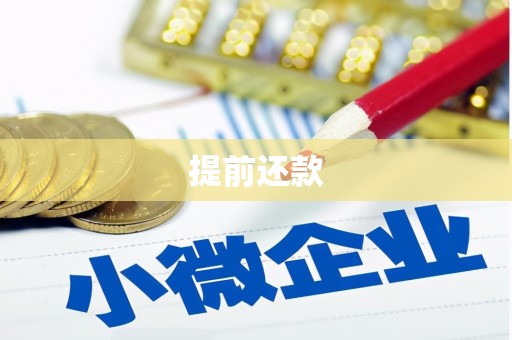 泸水提前还款