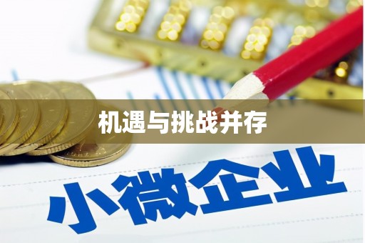 阜宁机遇与挑战并存