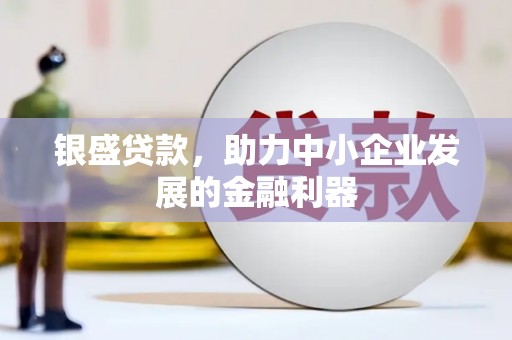 沧县银盛贷款，助力中小企业发展的金融利器