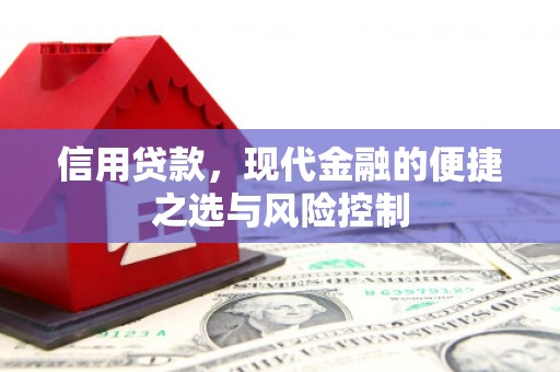 巩义信用贷款，现代金融的便捷之选与风险控制