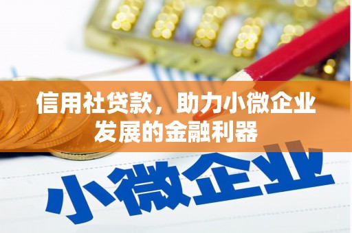 田林信用社贷款，助力小微企业发展的金融利器