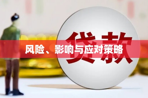 冀州风险、影响与应对策略
