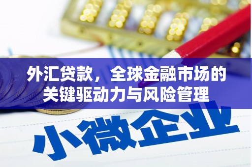 潭子外汇贷款，全球金融市场的关键驱动力与风险管理