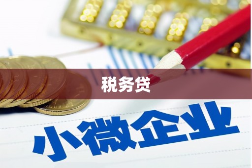 罗城税务贷