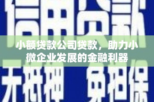 禅城小额贷款公司贷款，助力小微企业发展的金融利器