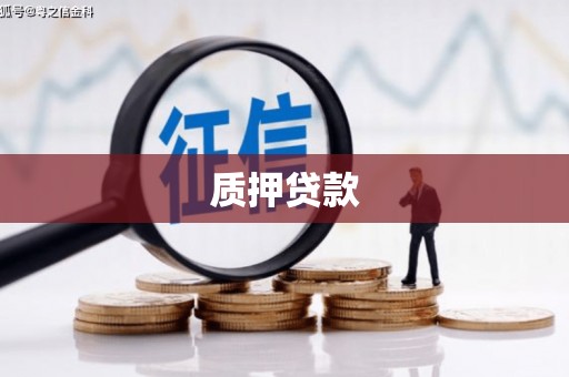 双阳质押贷款