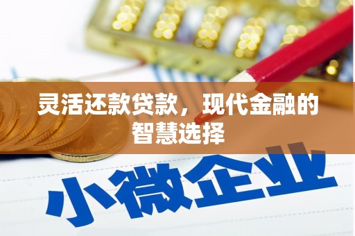 和田县灵活还款贷款，现代金融的智慧选择