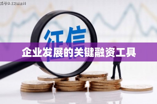 木兰企业发展的关键融资工具
