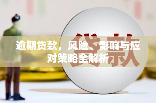 碌曲逾期贷款，风险、影响与应对策略全解析