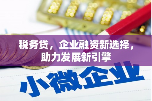 茂林税务贷，企业融资新选择，助力发展新引擎