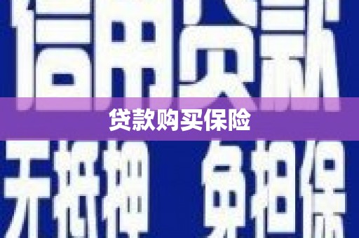 海城贷款购买保险