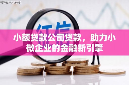 乌尔禾小额贷款公司贷款，助力小微企业的金融新引擎