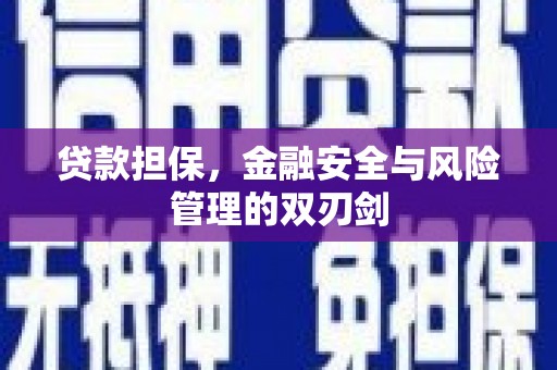 元长贷款担保，金融安全与风险管理的双刃剑
