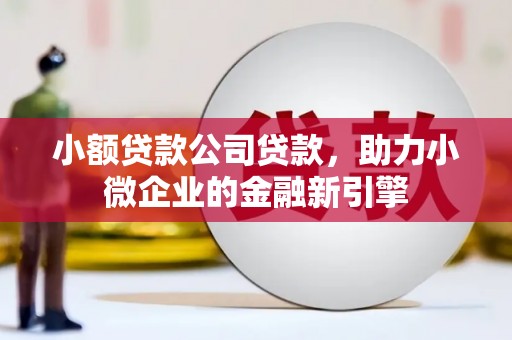 新蔡小额贷款公司贷款，助力小微企业的金融新引擎
