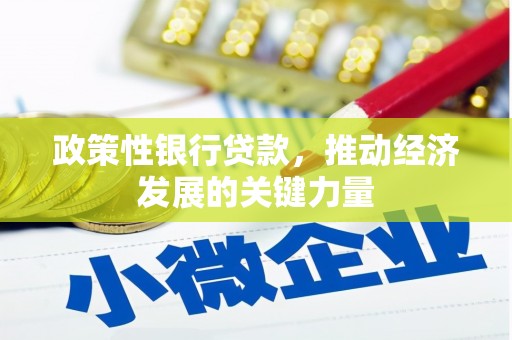 塔什库尔干塔吉克政策性银行贷款，推动经济发展的关键力量