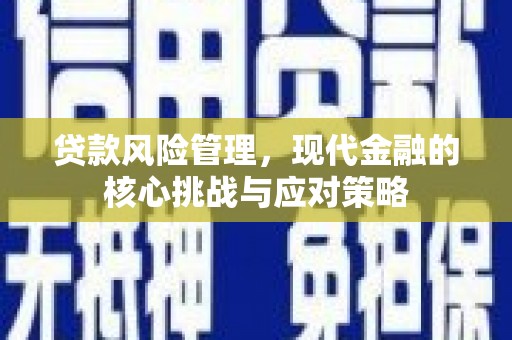 分宜贷款风险管理，现代金融的核心挑战与应对策略