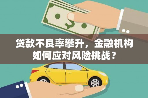 资中贷款不良率攀升，金融机构如何应对风险挑战？