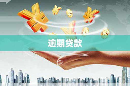 白沙逾期贷款