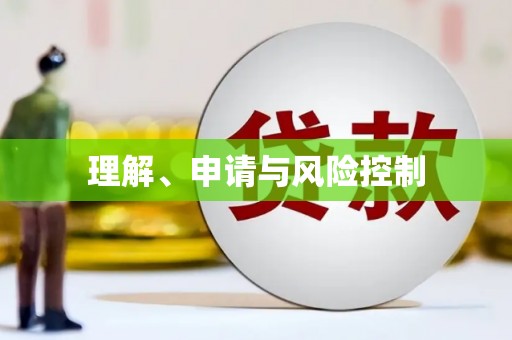 利津理解、申请与风险控制