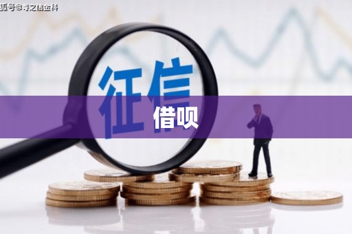 宏伟借呗