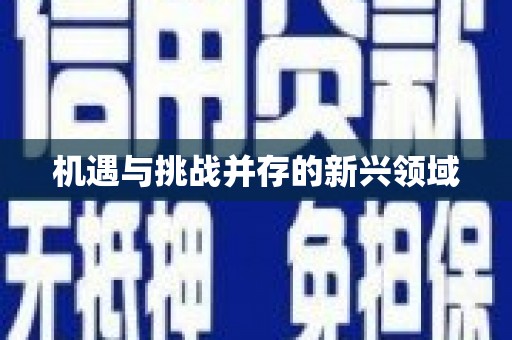 化德机遇与挑战并存的新兴领域