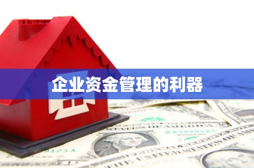 那曲企业资金管理的利器