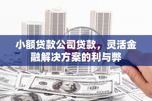 九原小额贷款公司贷款，灵活金融解决方案的利与弊
